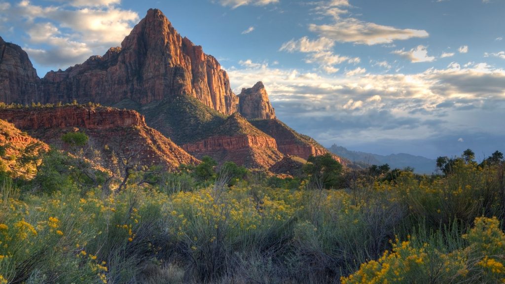 View of The Watchman against sky, Zion National Park, Utah with wildflowers, USA