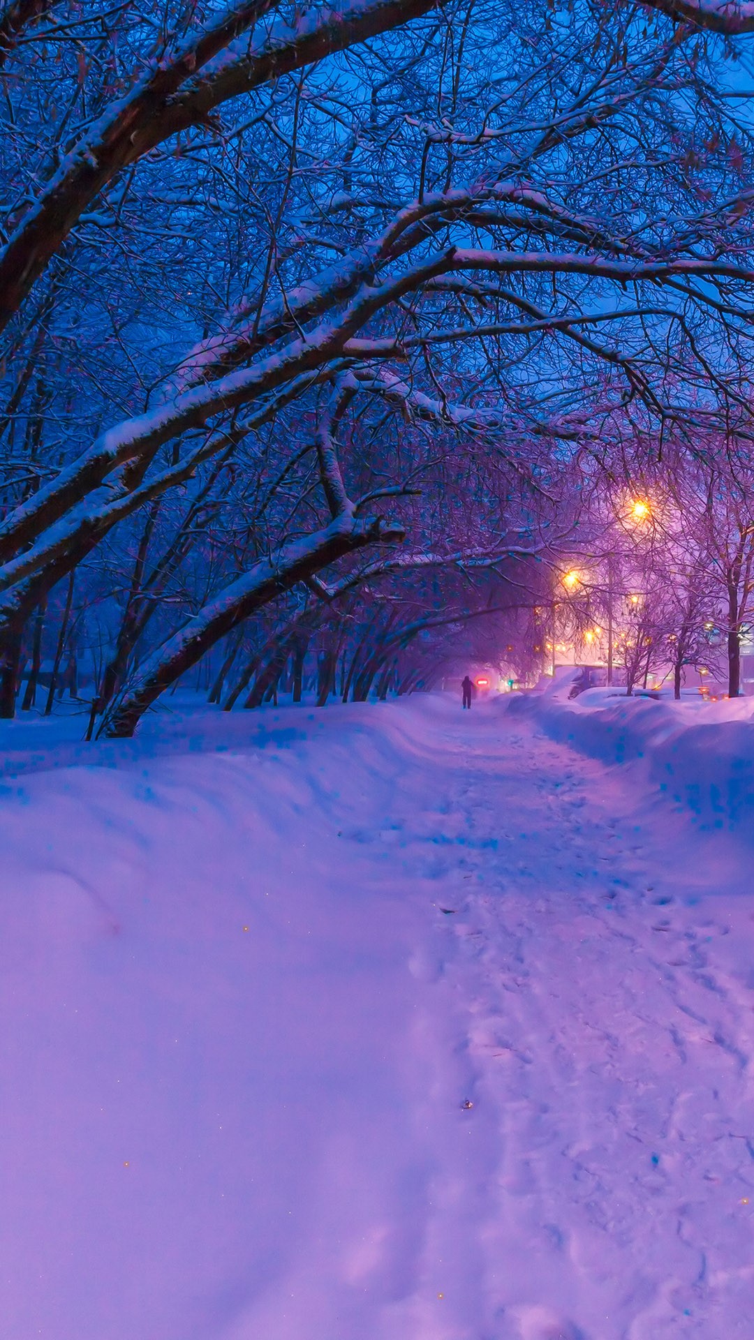 Night view of the winter city with snow-covered trees and lanterns, Moscow,  Russia
