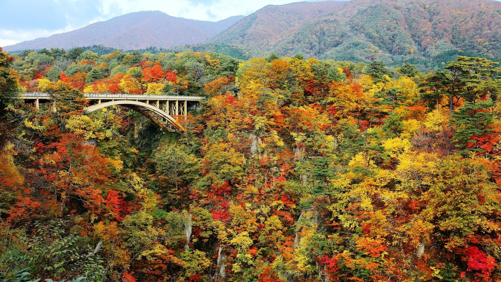 Highway bridge spanning Naruko Gorge in autumn colors on rocky cliffs, Osaki, Miyagi, Japan