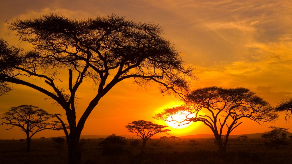 Sunset in the Serengeti, Tanzania