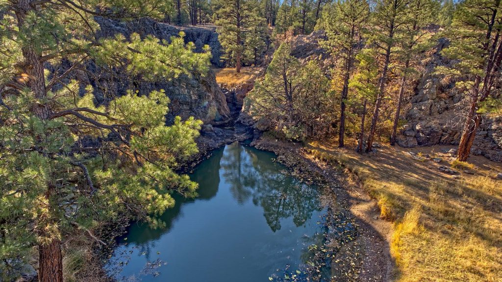 Natural pond in Sycamore Canyon, Pomeroy Tanks, Kaibab National Forest, Arizona, USA