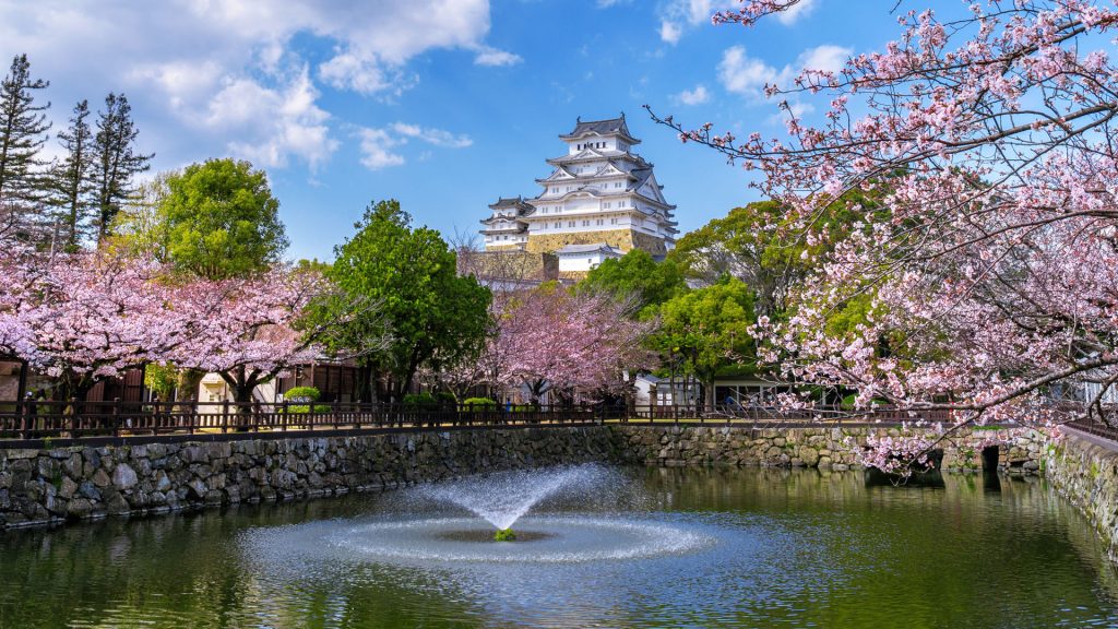 Cherry blossoms and castle in Himeji, Hyōgo Prefecture, Japan
