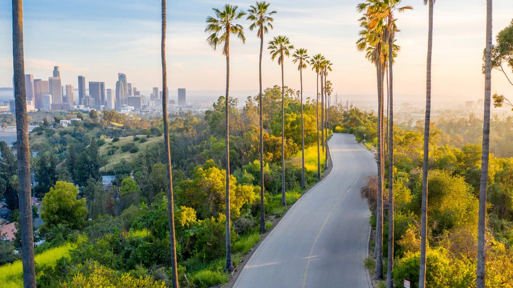 Palm trees street towards downtown of Los Angeles, California, USA
