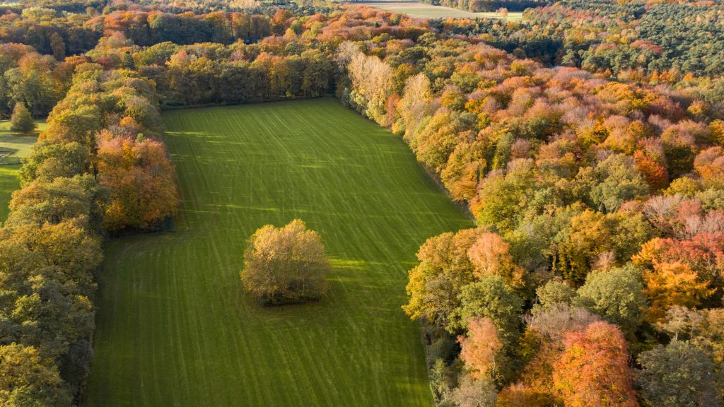 View of forest and fields, Ruurlo, Gelderland, Netherlands