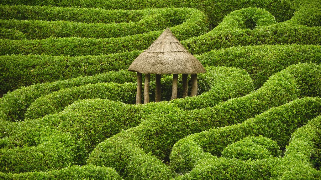 Amazing maze, Glendurgan Garden, Cornwall, England, UK