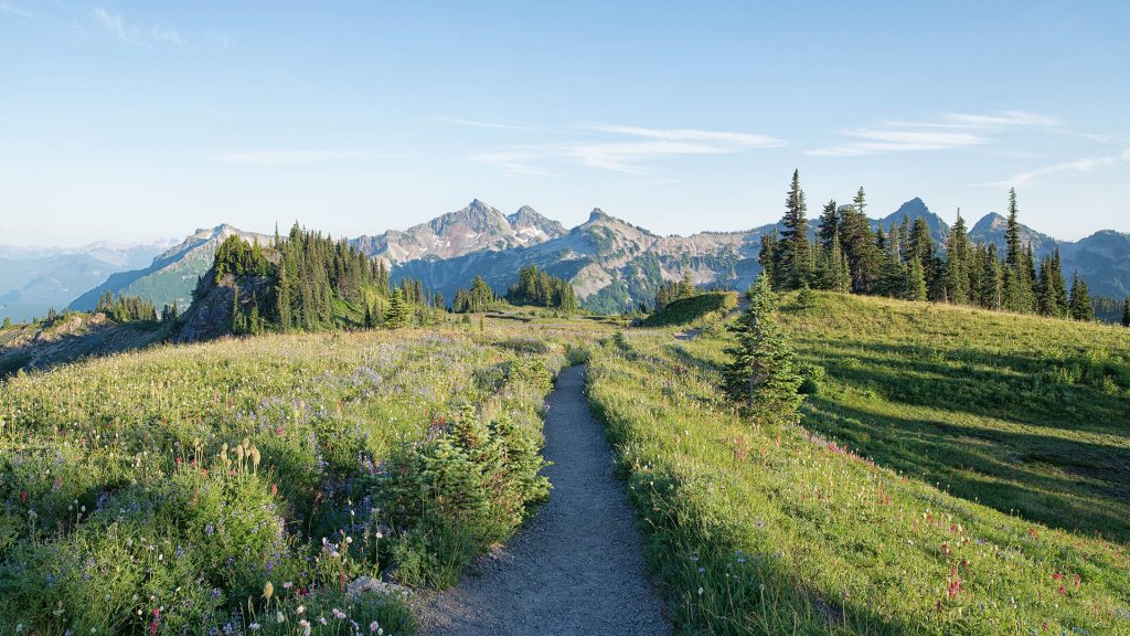 Summer hiking trail, Mount Rainier National Park, Washington state, USA