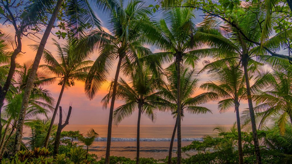 Tropical sunset over beach, Corcovado National Park, Osa Peninsula, Costa Rica