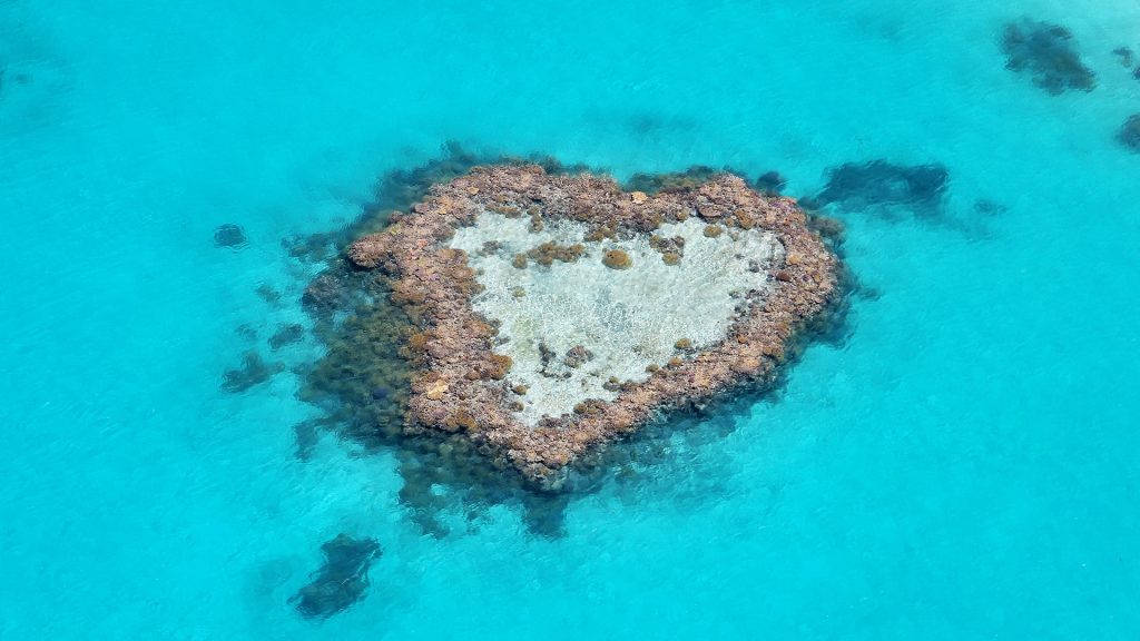 Photography of the Heart Reef on a scenic flight over the Great Barrier Reef