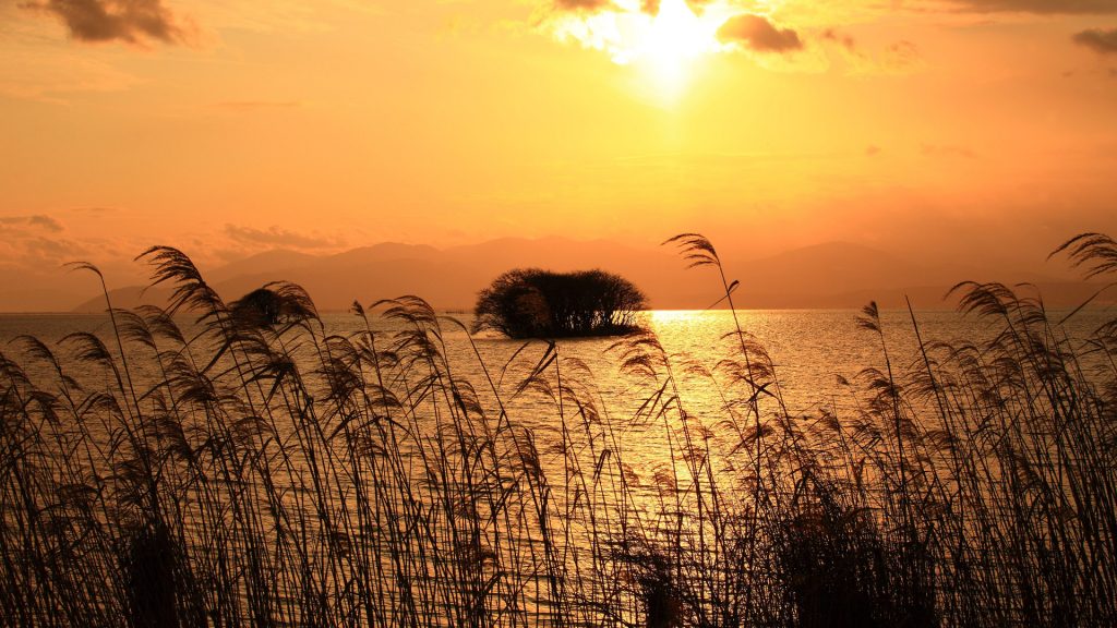 Silver grass and Lake Biwa at sunset, Shiga Prefecture, Japan