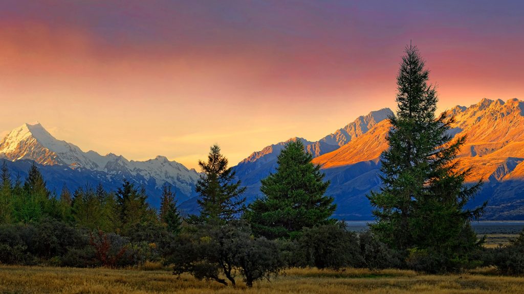 Snowy peak of Mount Cook, Aoraki and landscape at sunset, Mount Cook National Park, New Zealand
