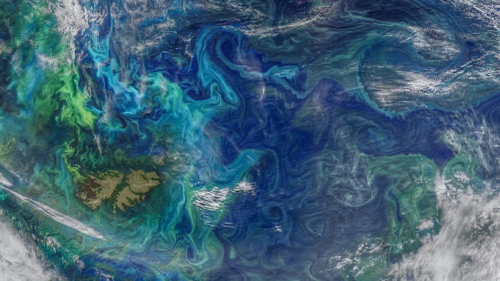 A NASA satellite image of the southern Atlantic Ocean showing phytoplankton blooms