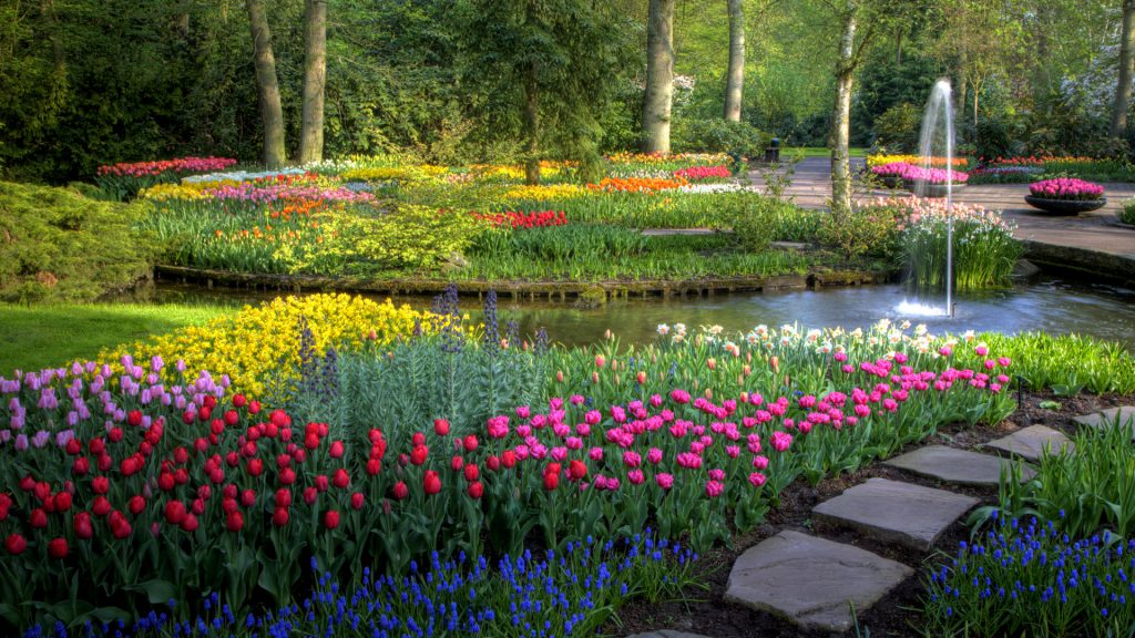 Springtime Keukenhof Gardens with pathway, Lisse, Netherlands
