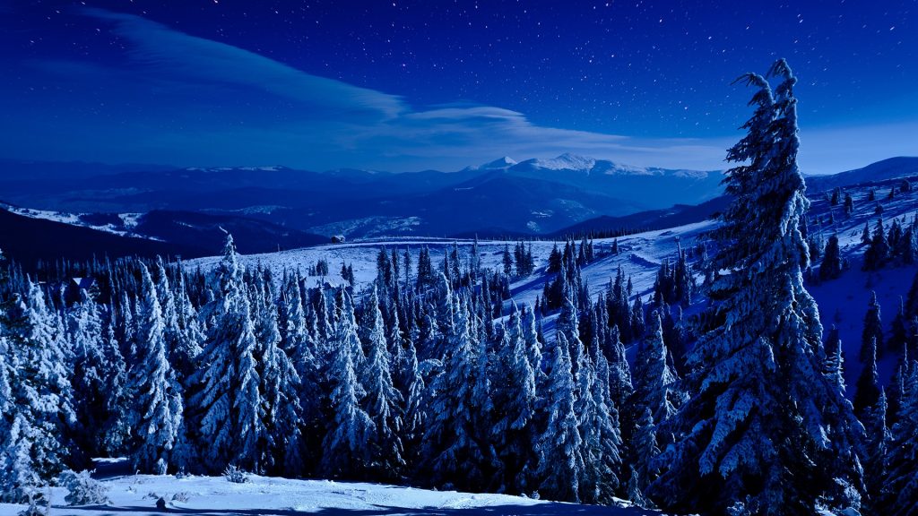 Night view of winter deep forest on hills covered with snow