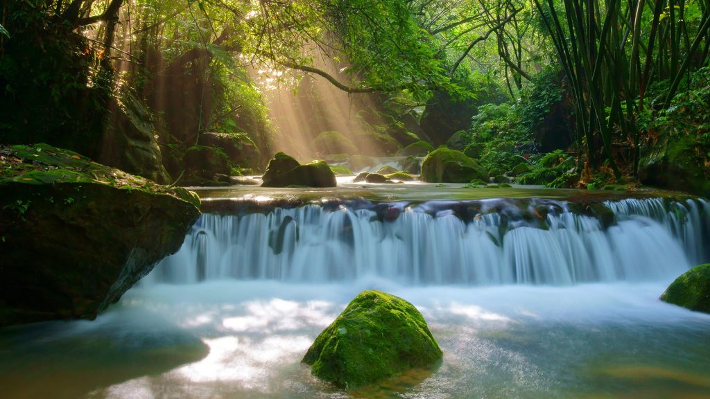 Scenic view of waterfall in forest, Fengyuan, Taiwan