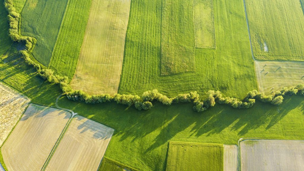 Aerial agricultural landscape of green crops in summer, Germany