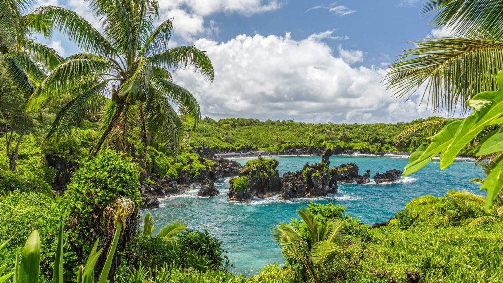 Waianapanapa State Park, home to a black beach on the Road to Hana on Maui, Hawaii