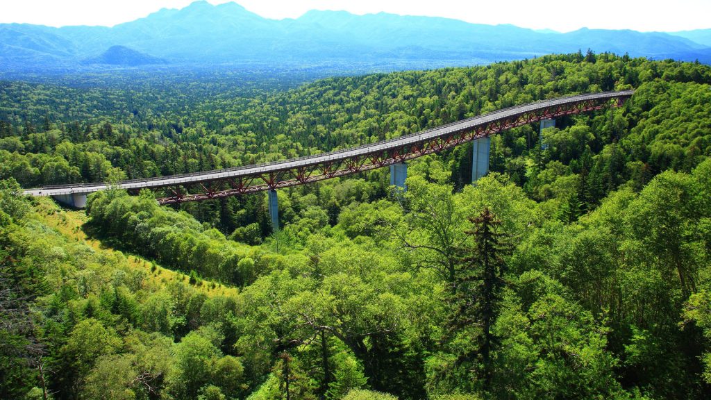 Matsumio bridge and trees, Mikuni Pass, Daisetsuzan National Park, Hokkaido, Japan