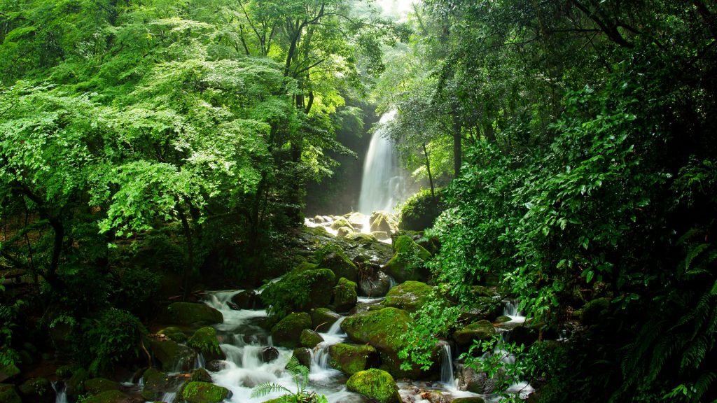 Shiraito Waterfall, Kumamoto Prefecture, Japan