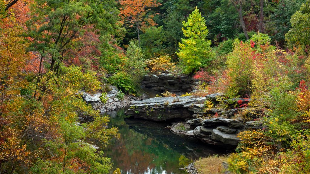 Pastel colors of roaring Brook Glen during autumn in Scranton, Pennsylvania, USA