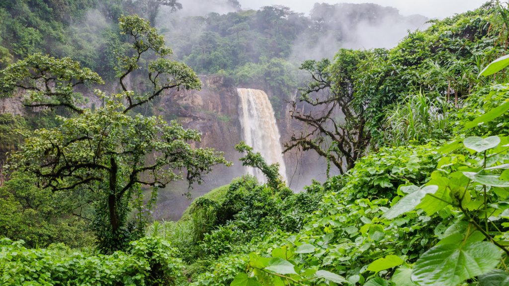 Chutes d'Ekom Waterfall on Ekom Nkam river deep in the tropical rainforest, Melong, Cameroon