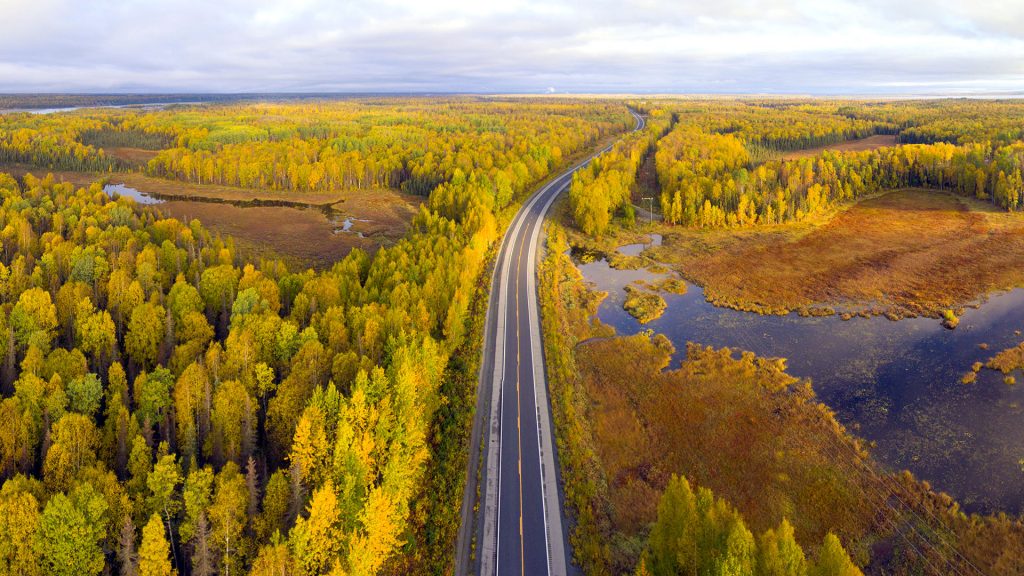 George Parks Highway in fall with the morning sun light, Denali State Park, Alaska, USA
