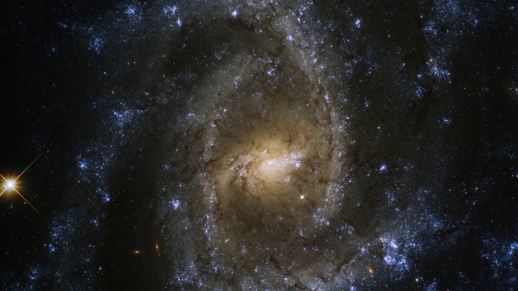 Eye of the Serpent - NGC 2835 spiral galaxy