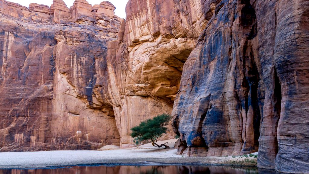 Guelta d'Archei waterhole near oasis, Ennedi Plateau, Chad