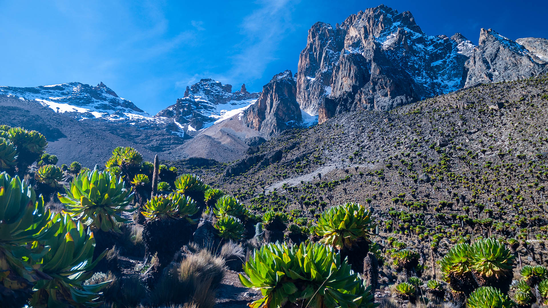 Scenic View Of Mountains With Green Lobelia Against Sky Mount Kenya 