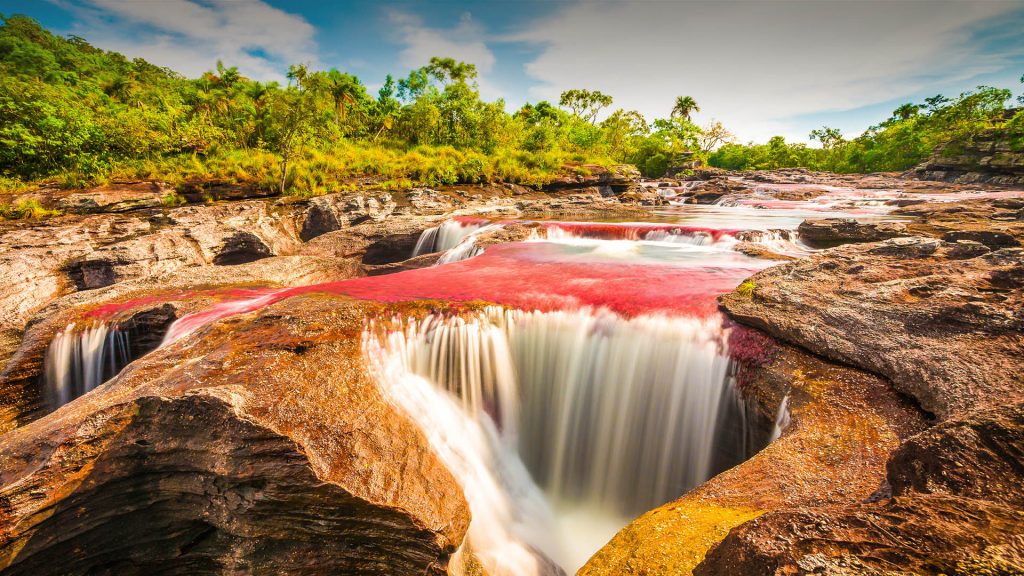 Multicolored river Caño Cristales, Serrania de la Macarena province of Meta, Colombia
