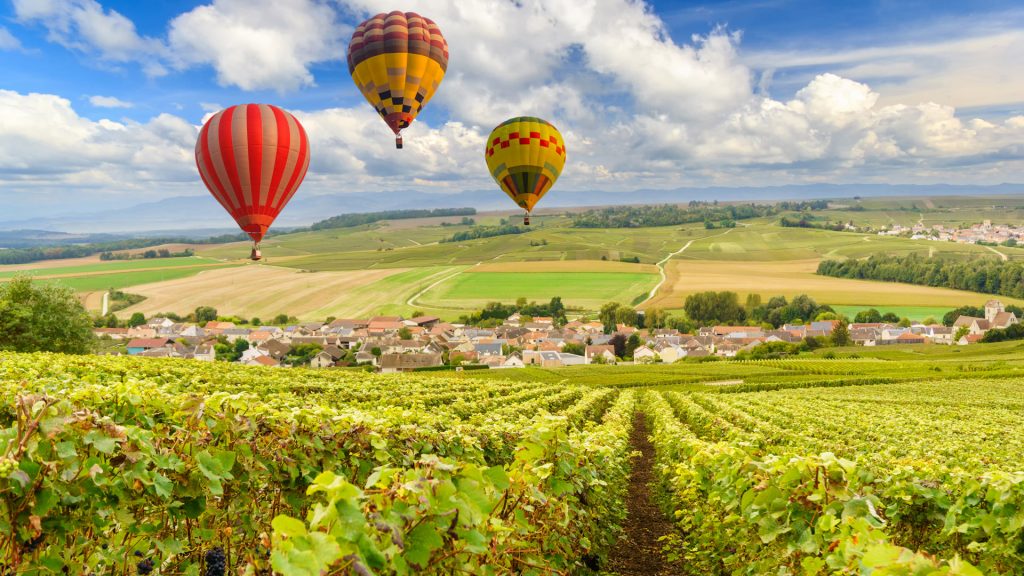 Hot air balloons flying over champagne vineyards at sunset, Montagne de Reims, France