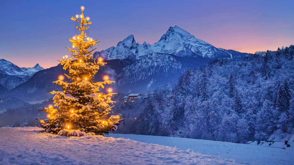 Christmas tree on the vineyard with Watzmann, Steinernes Meer plateau, Bavaria, Germany