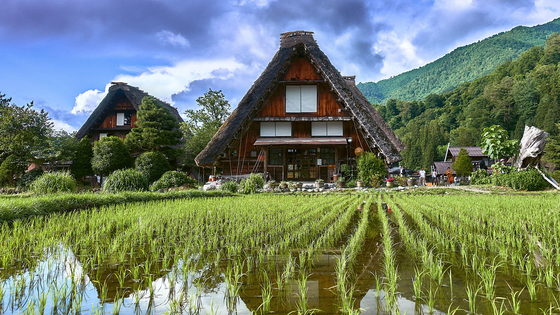 Shirakawa g Historic Traditional Village Gifu Prefecture Japan 