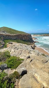 Indian Ocean And Coastline With Beaches, Robberg Nature Reserve ...