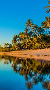 tropical island scenery