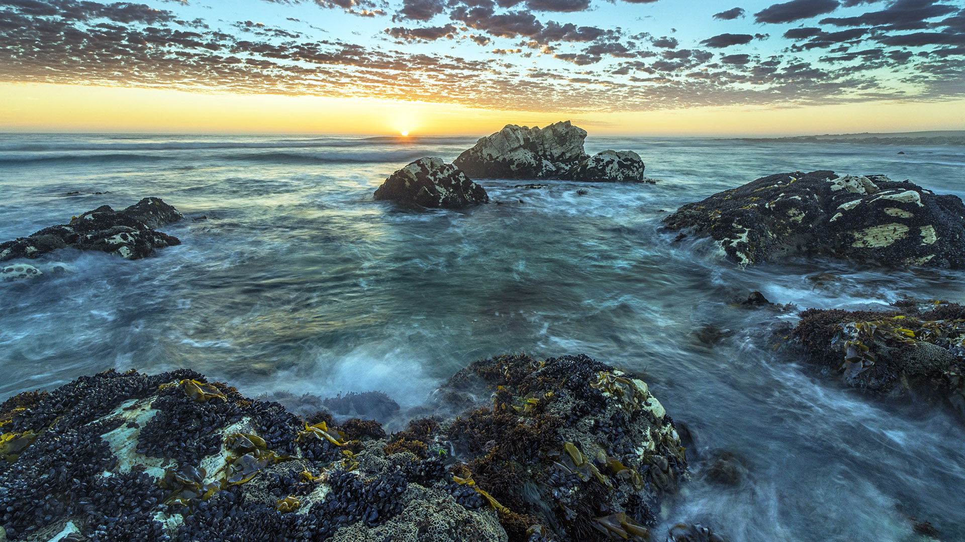 Sunset over the ocean at Marble Beach, Namaqua National Park, South ...