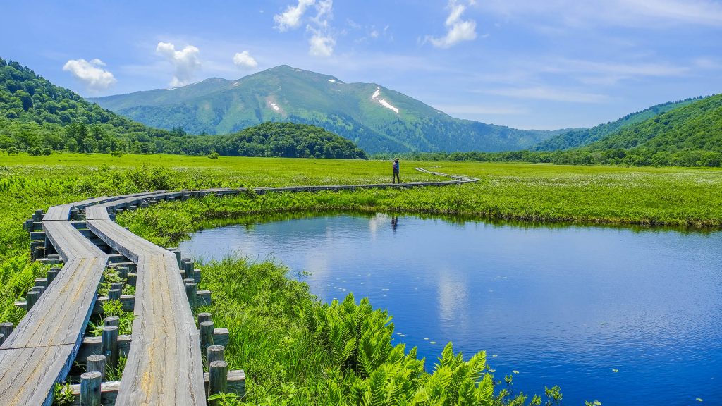 Pond and walkway and fresh green mountains, Oze National Park, Japan