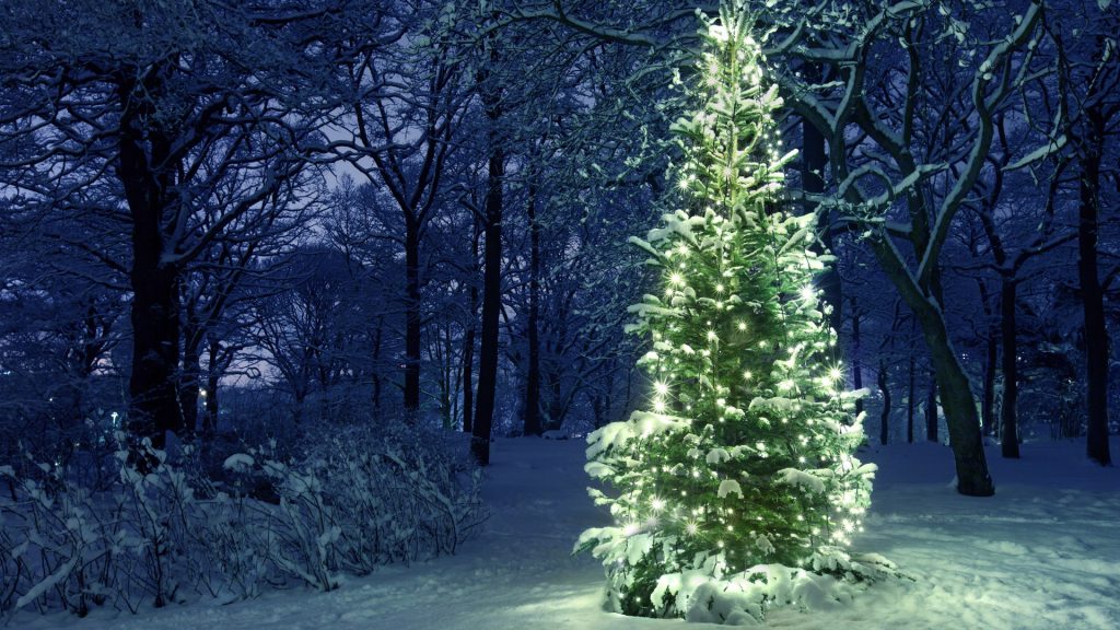 Glowing Christmas Tree in snowy winter forest, Sweden