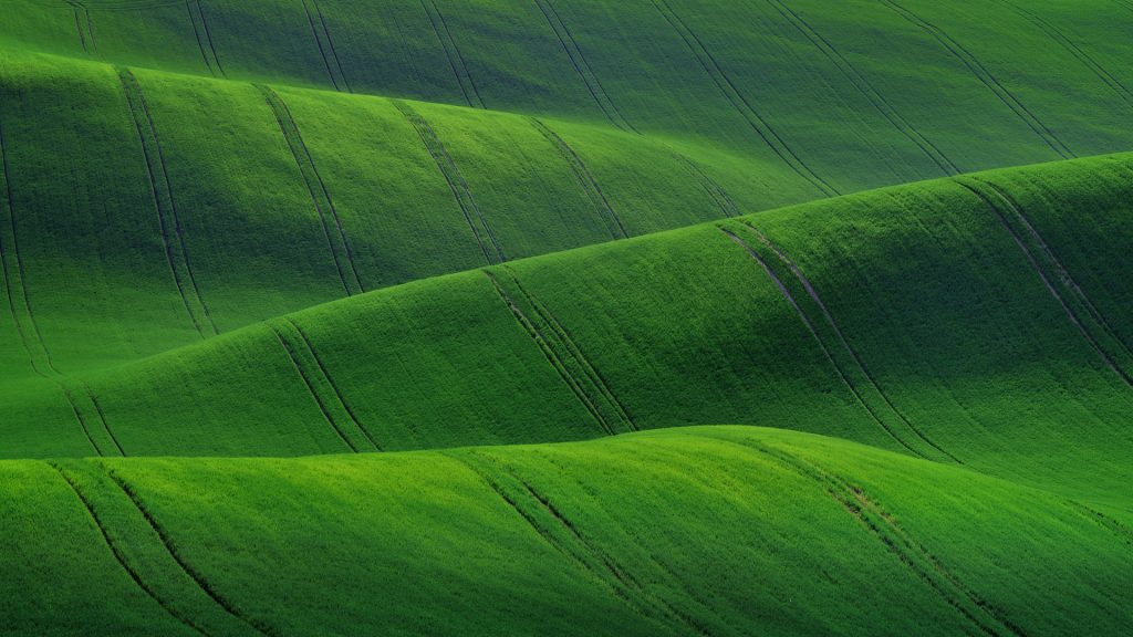 Spring rural landscape of agricultural fields of South Moravia, Czech Republic