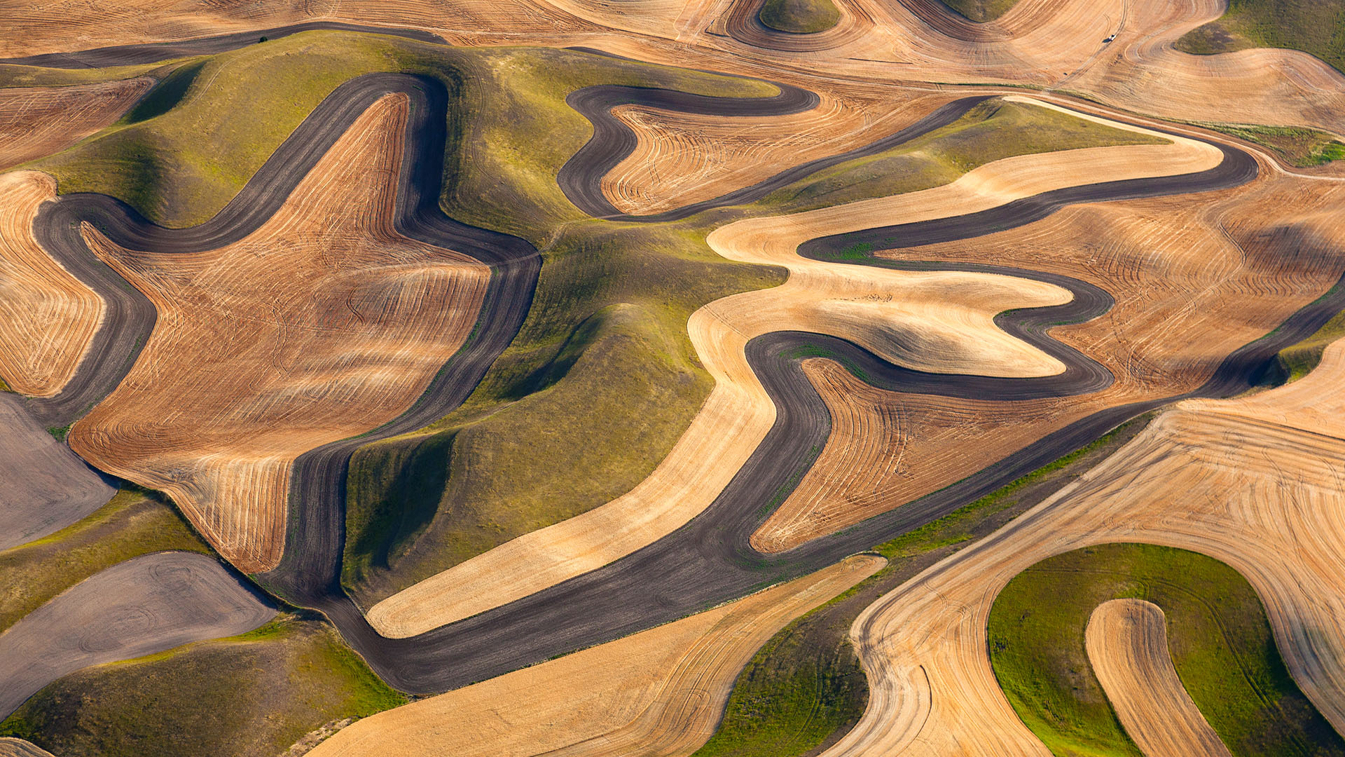 Farmland Landscape With Ploughed Fields And Furrows In Palouse 