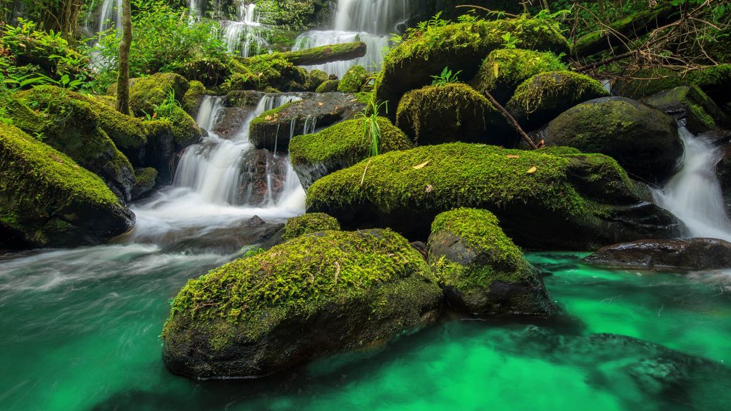 Waterfall in green forest in jungle at Phu Tub Berk mountain,Phetchabun, Thailand