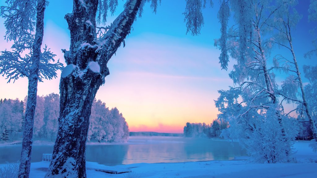 Cold winter day landscape view with snowy trees at a river, Kuhmo, Finland