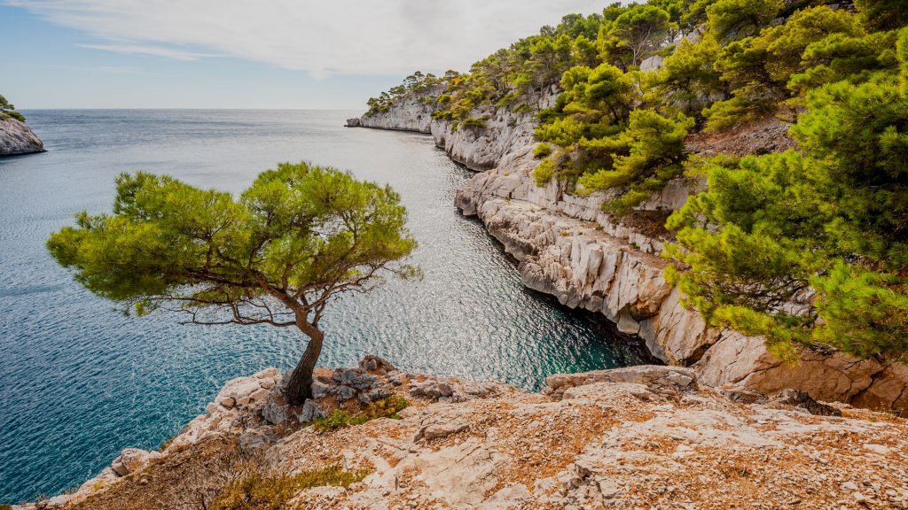 Formation between Cassis and Marseille mediterranean coast, Calanques, France