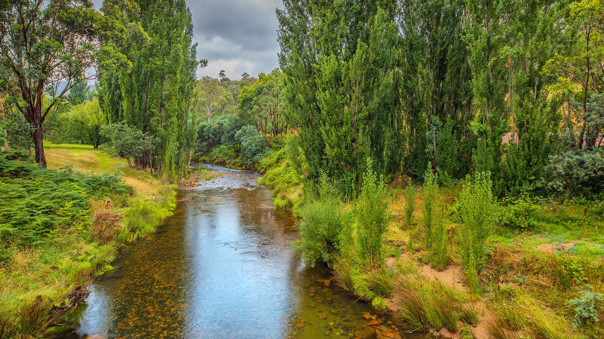 Cobungra River Creek In The Alpine Mountainous Region Of North East 