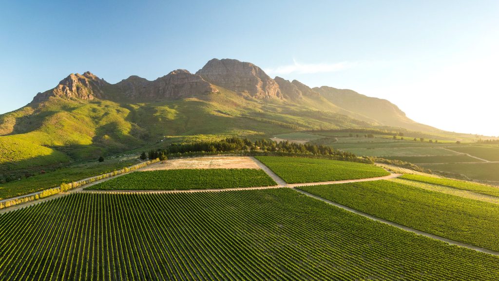 Aerial view of vineyards near Stellenbosch, Western Cape, South Africa