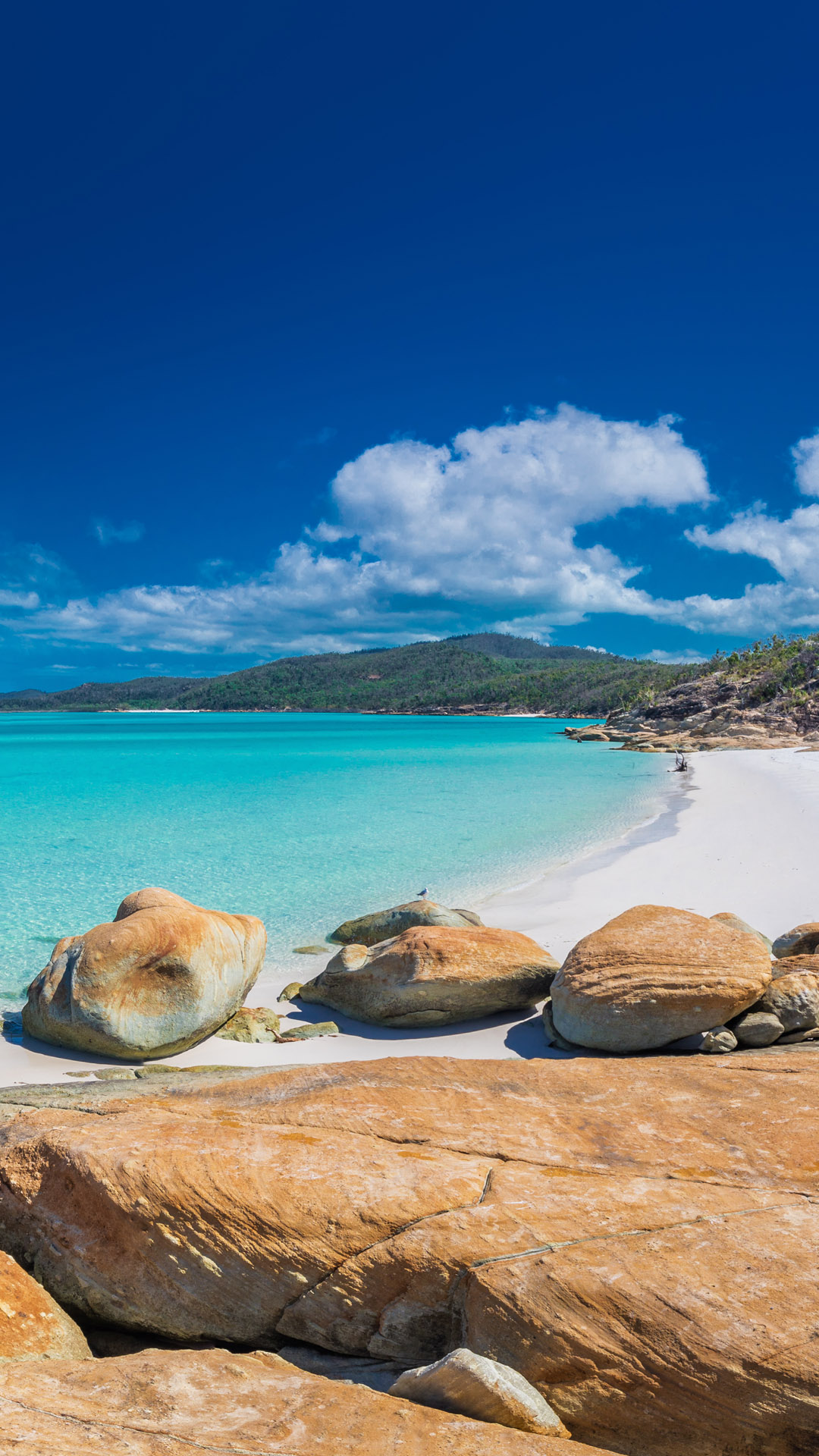 Panorama Of The Whitehaven Beach In The Whitsunday Islands Queensland