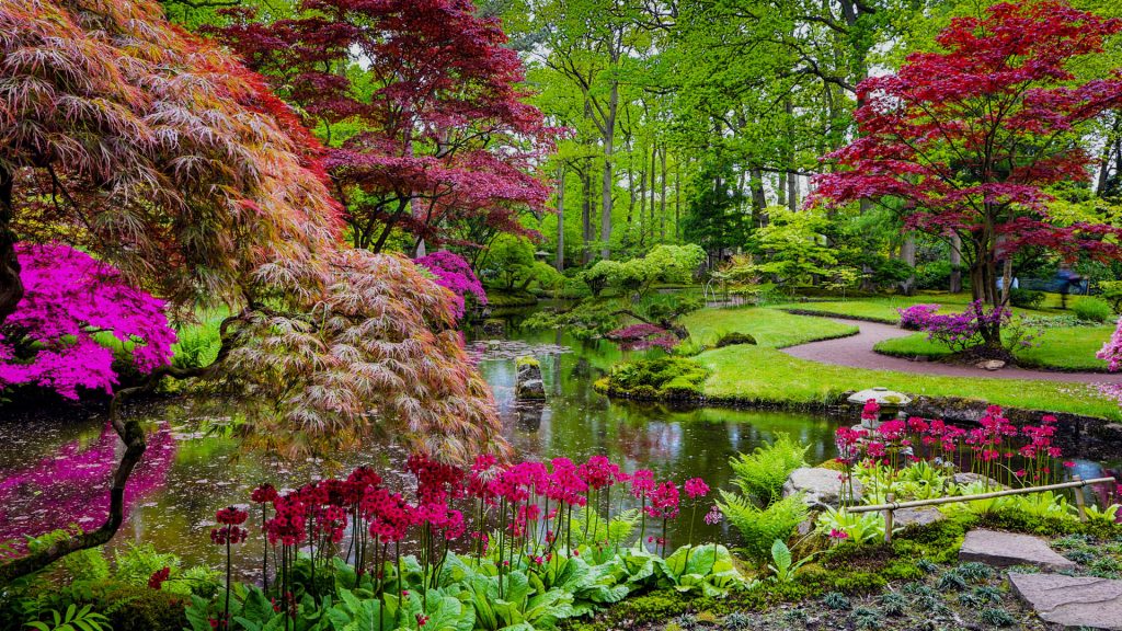 Traditional Japanese Garden in The Hague, Netherlands
