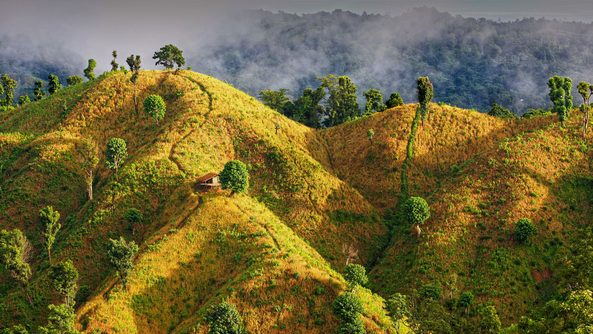 Wonderful Bandarban Hill Heaven Of Bangladesh Windows Spotlight Images