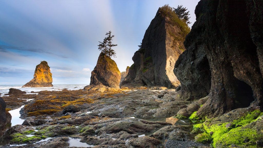 Point of Arches in Olympic National Park, Washington state, USA