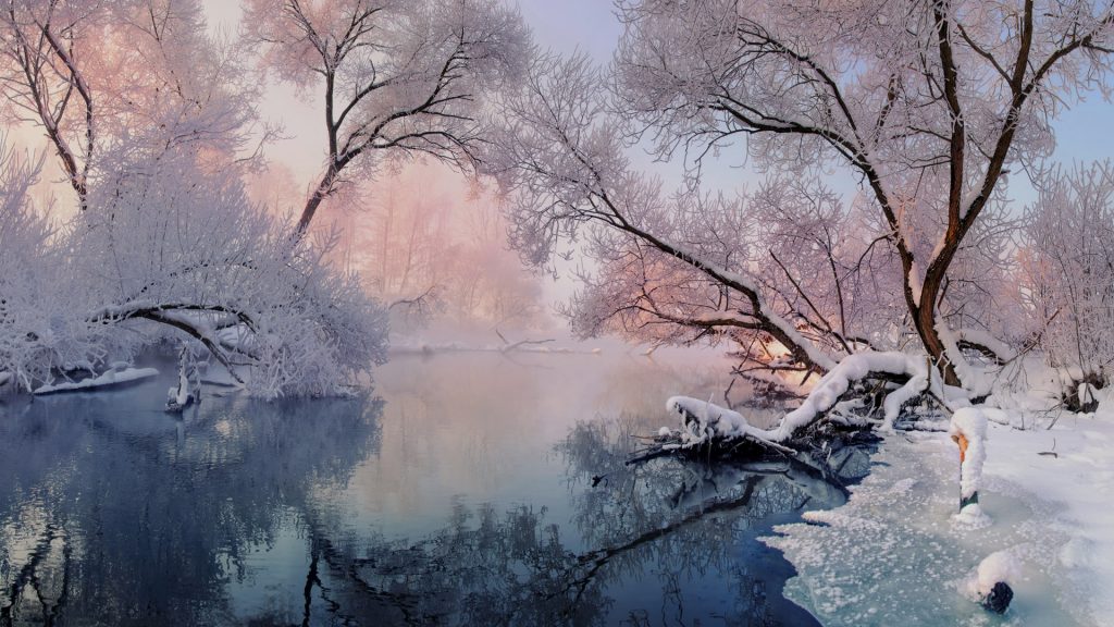 Winter Christmas landscape in pink tones with calm river surrounded by trees