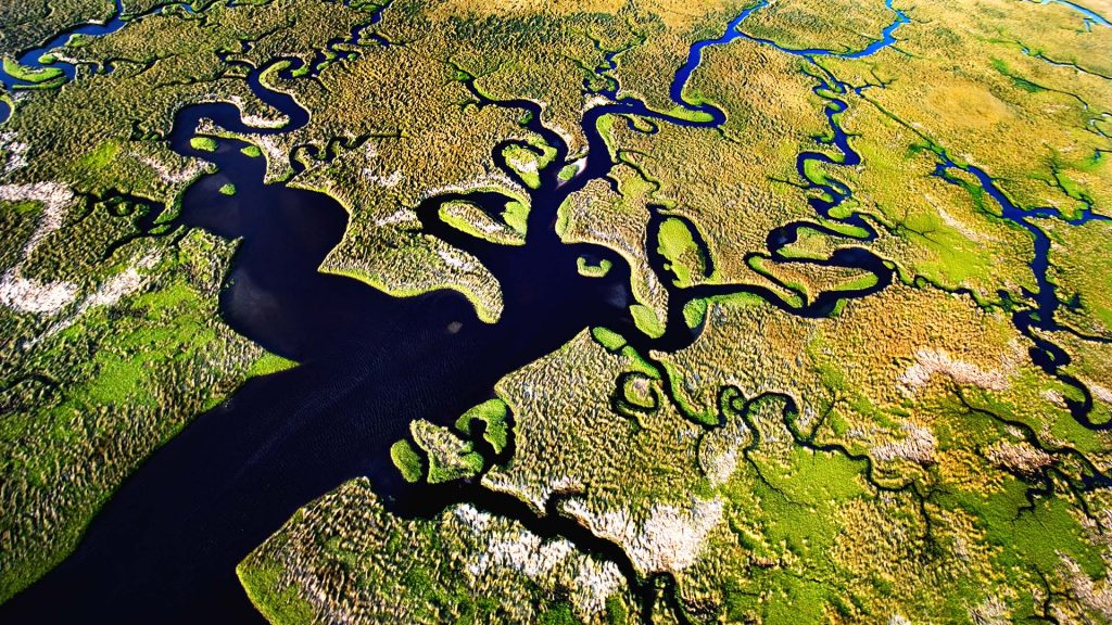 Aerial view of Florida Everglades National Park, USA